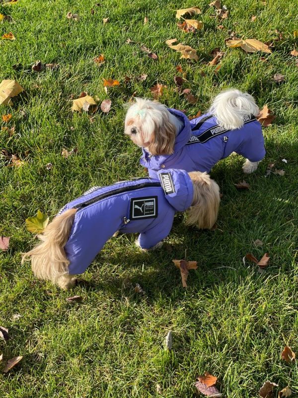 Комбінезон Пума силікон (хлопчик) XS