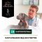 PRO PLAN Veterinary Diets EN Gastrointestinal сухий корм для собак при захворюваннях шлунково-кишкового тракту 1,5 кг