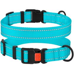 Нашийник для собак BronzeDog Блакитний пластиковий фастекс 1222 50Т 25мм (35-53см)