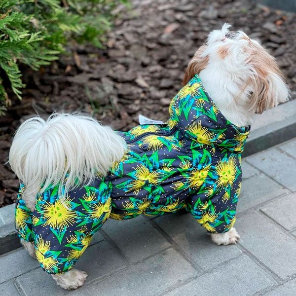 Комбінезон Дейзі силікон (дівчинка) XS