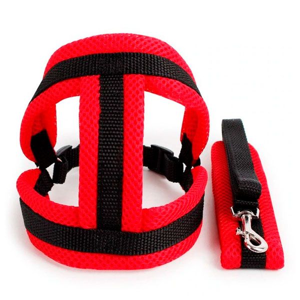 Шлея сітка і поводок, S (332-48120 см) Червоно-чорний