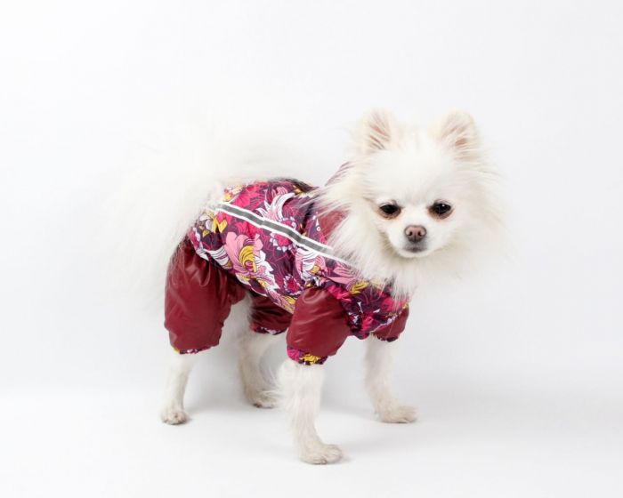 Набір Фрезія жилет силікон + комбінезон велсофт бордо (дівчинка) М