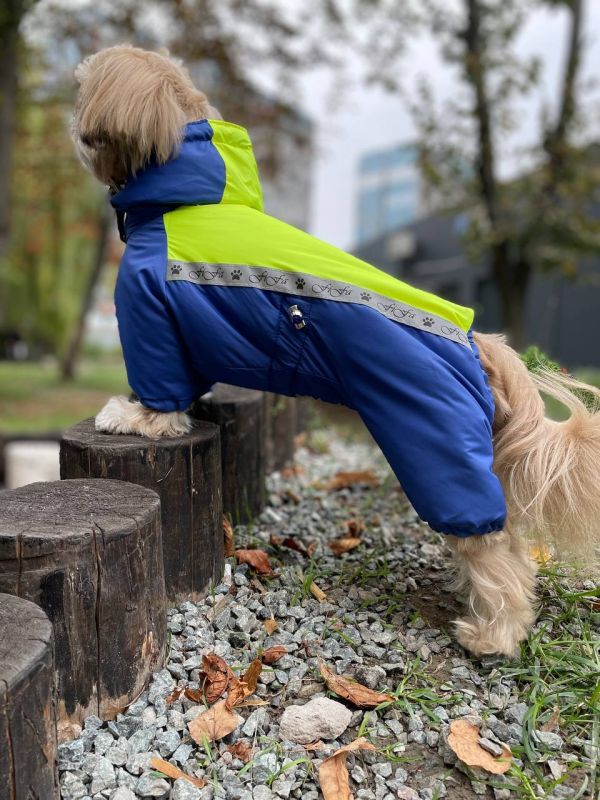 Промінь комбінезон для собак хлопчиків на силіконі XS