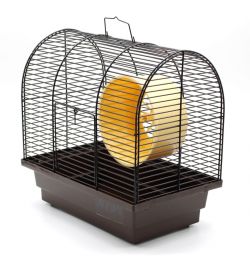 Клітка Лорі Бунгало-міні 280180280 мм Фарба