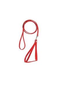 Шлея човник з повідцем капрон 30  30см довжина повідця 130см Червоний
