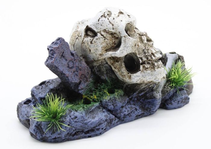 Череп з кістками S 1368 см