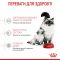 АКЦІЯ Royal Canin Motherbabycat сухий корм для кошенят та котів у період лактації 8+2 кг 