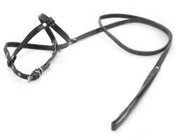 Шлейка вісімка з повідцем шкіра не строчений набір Фауна 103020-2 Чорний