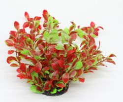 Рослина для акваріуму 006А, 8х6х25 см 