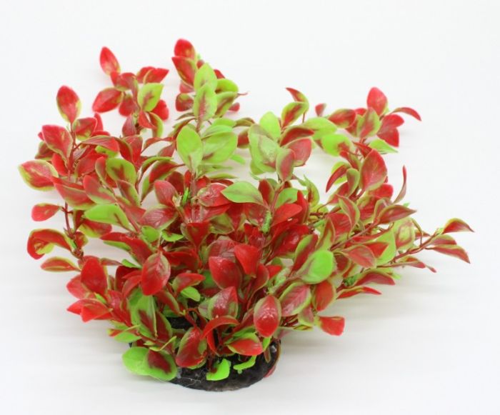 Рослина для акваріуму 006А, 8х6х25 см 