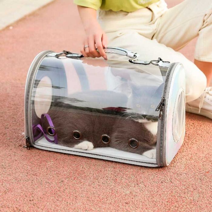 Сумка для тварин прозора 42х28х22 см срібло 