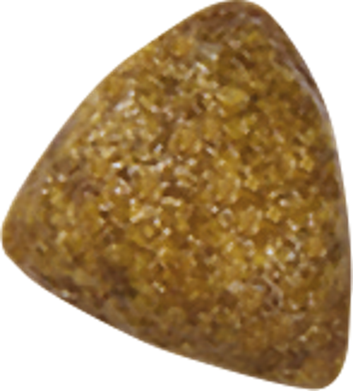 Royal Canin Renal Specia Feline L для кішок з нирковою недостатністю 2 кг