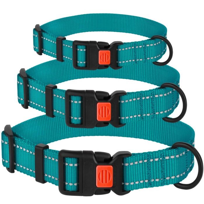 Ошейник для собак BronzeDog бирюза пластиковий фастекс 1225 50Т 20мм (30-40см)