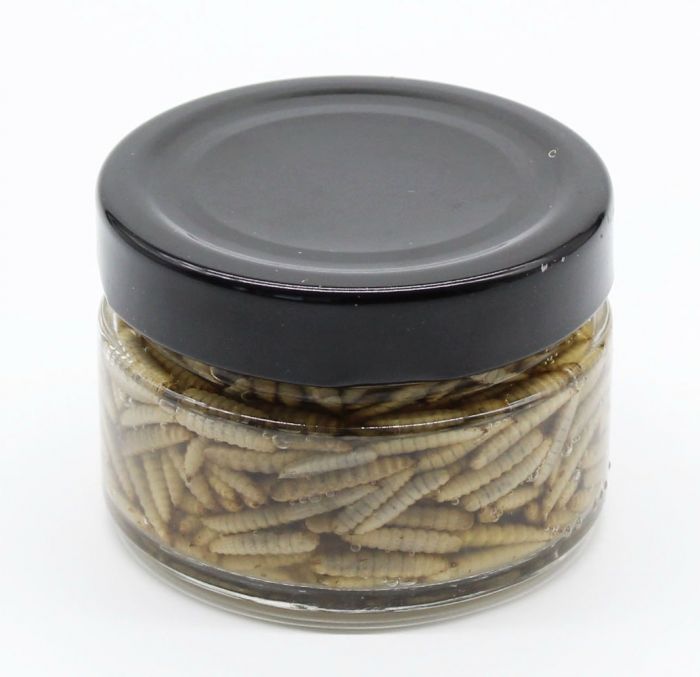 Корм Flipper Консервований борошняний червяк, 100 г 