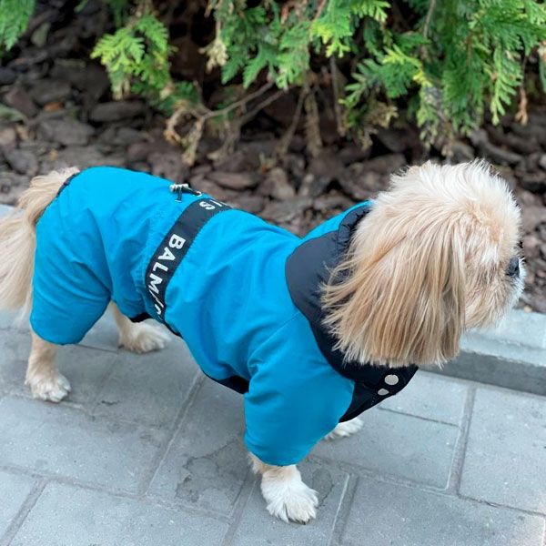 Комбінезон Бальман велсофт (хлопчик) XS