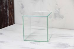 Акваріум для креветок скляний з кришкою 5,0 л 171717 см