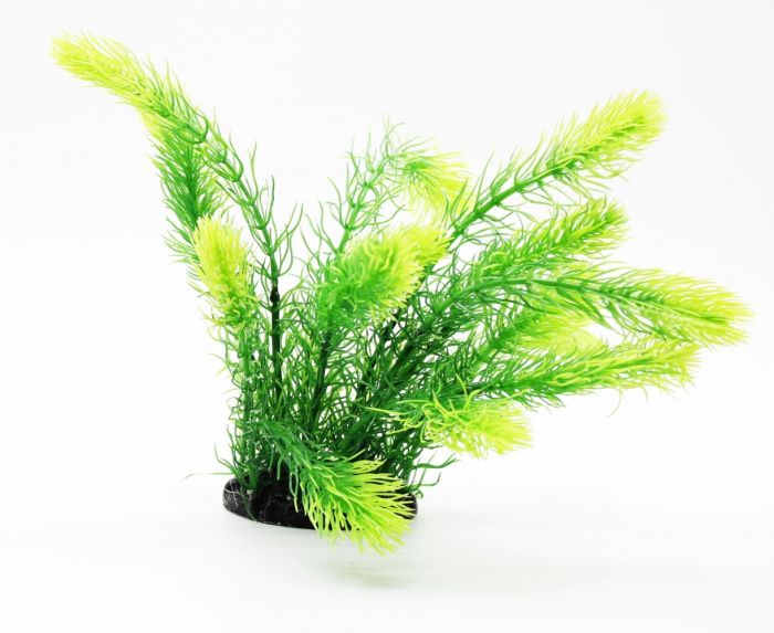 Рослина для акваріуму 066B, 8х6х25 см 
