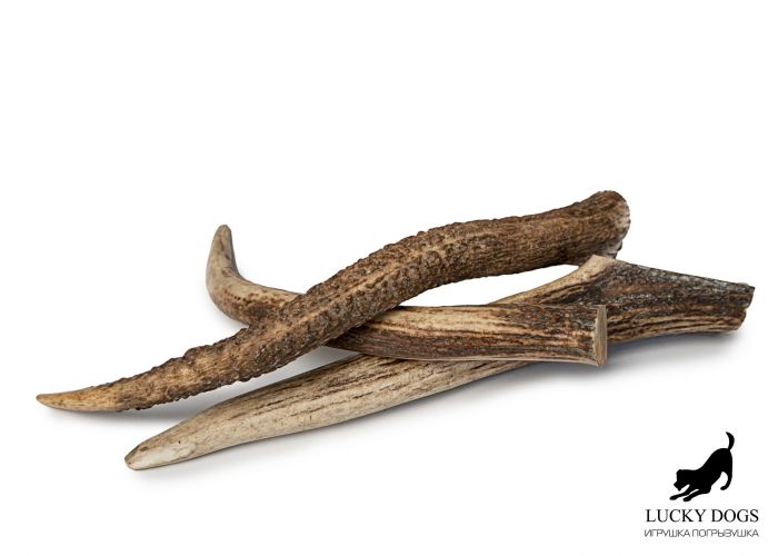 Ріг оленя Lucky Dogs твердий L