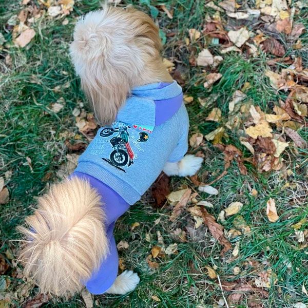 Комбінезон Байк трикотаж на флісі (хлопчик) S2