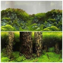 Двосторонній фон 3015 м. 