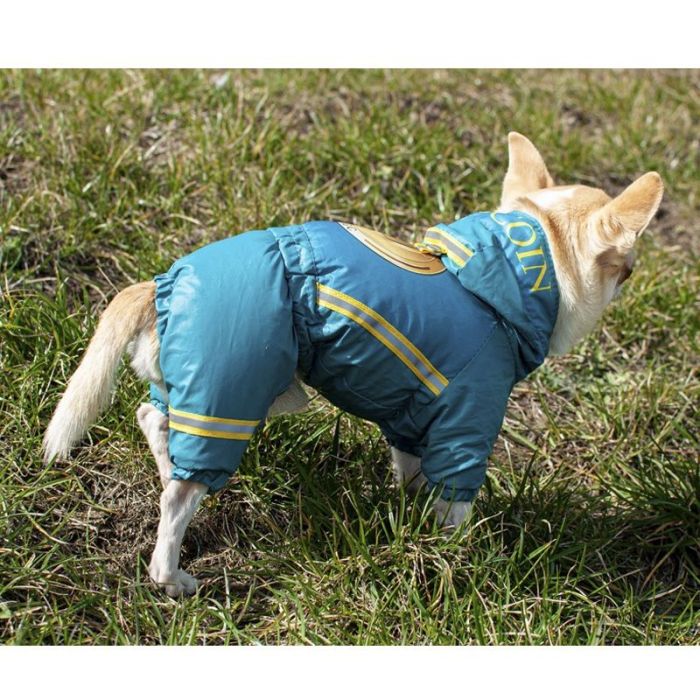 Комбінезон для собак хлопчиків на силіконі XXS