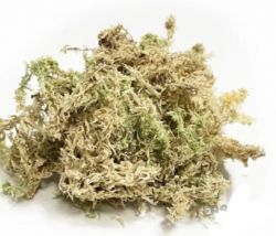 Сфагновий мох TerriX 2 л. 