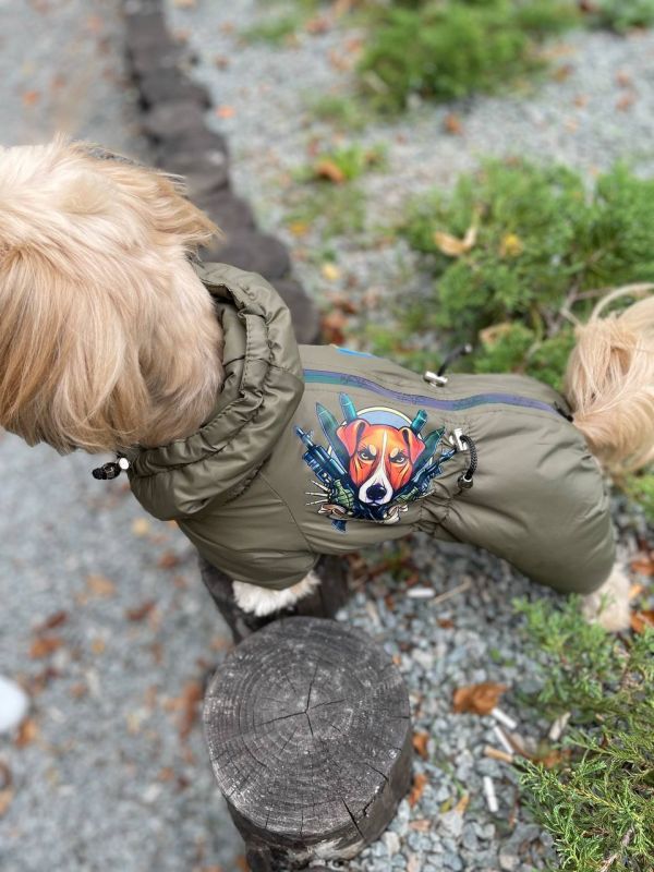 Хакі комбінезон для собак хлопчиків на силіконі XS