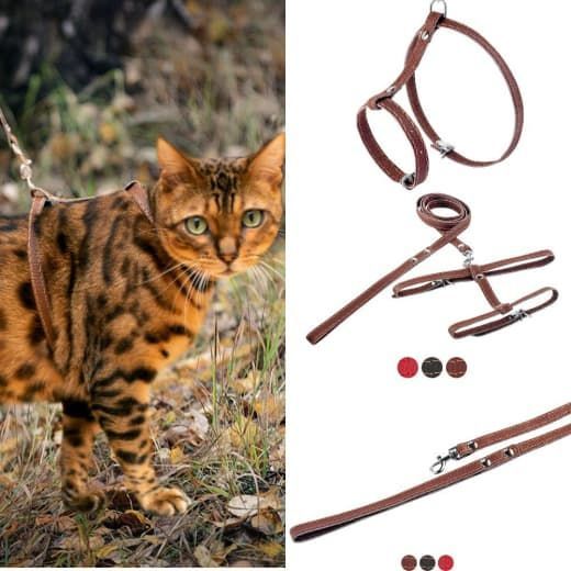 Шлея з повідцем шкіра 22-34 см 31-48 см 130 см Фауна червоний 