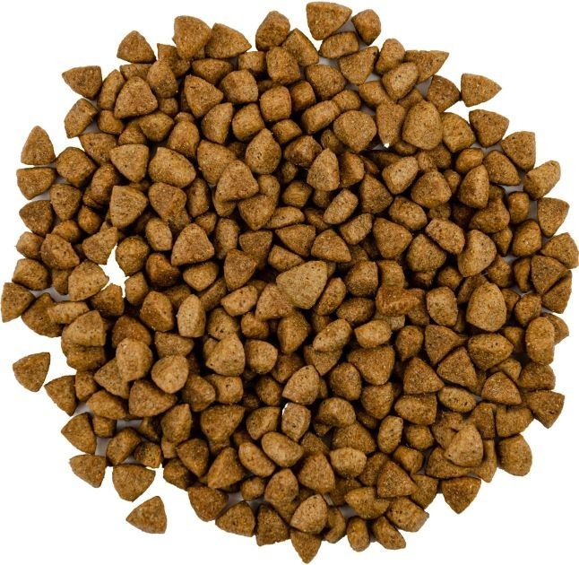 Savory Adult Cat Сухий корм для кастрованих котів зі свіжим мясом ягняти і куркою 2 кг