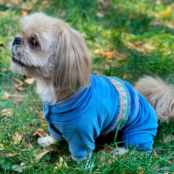 Комбінезон Колорит велюр (хлопчик) S1