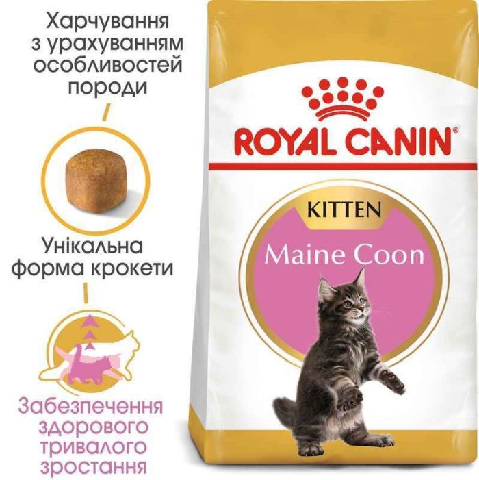 АКЦІЯ Royal Canin Maine Coon Kitten корм для кошенят мейн-кун 2 кг + 4 паучі 