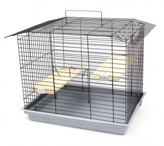 Шиншила-60 клітка для шиншил Лорі Фарба