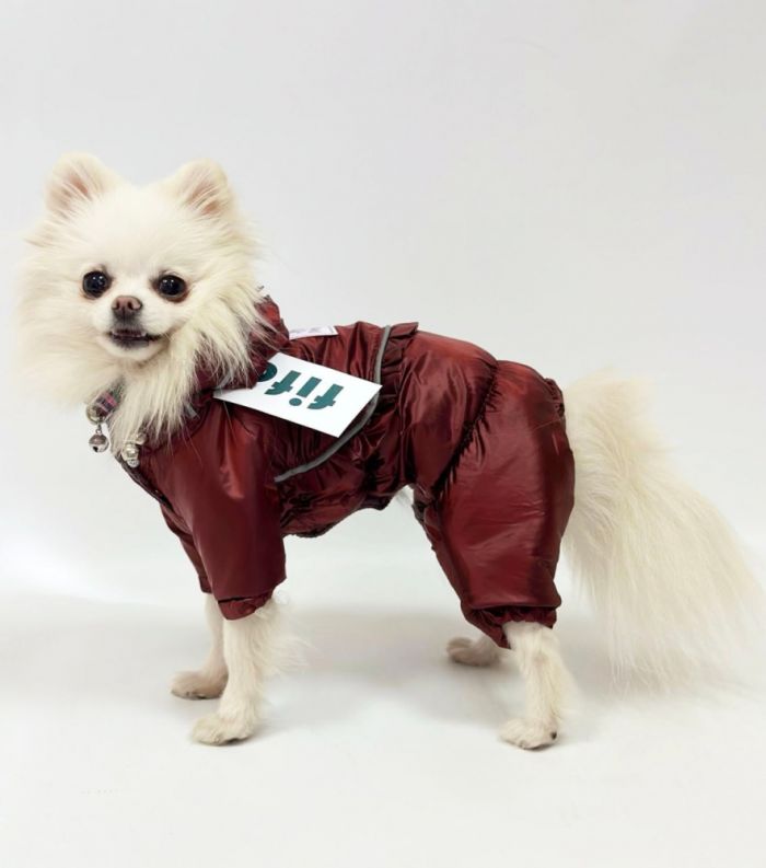 Комбінезон Принцеса на силіконі (дівчинка) S2