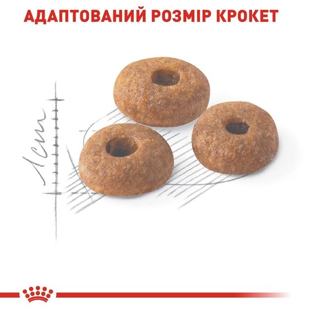 АКЦІЯ Royal Canin Fit 32 сухий корм для котів 2 кг + 12 паучів 