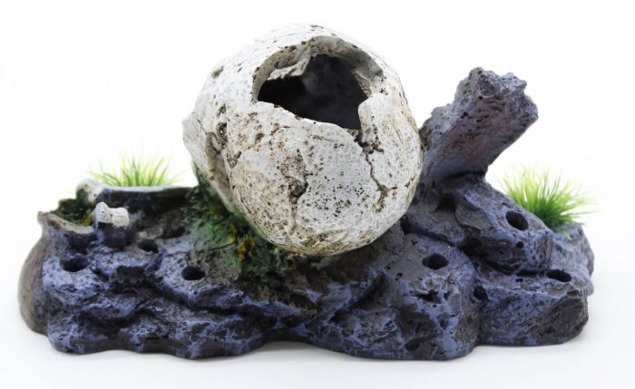 Череп з кістками S 1368 см