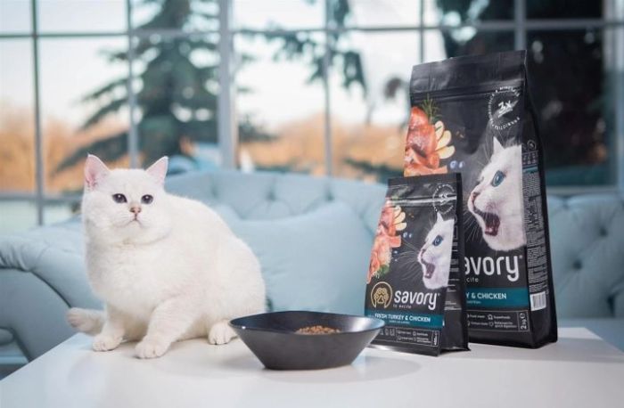 Savory Kitten Сухий корм для кошенят зі свіжим мясом індички та куркою 2 кг