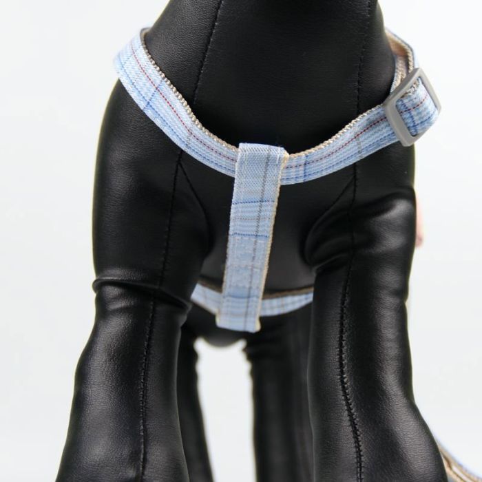 Комплект Собачки, шлея с поводком для щенков и мелких собак голубая Обєм грудей 29-43 см