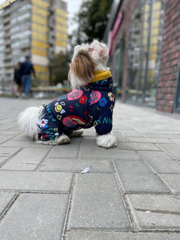 Ляля комбінезон на овчині без силікону для собак дівчаток S2 мопс