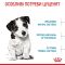 АКЦІЯ Royal Canin Mini Puppy сухий корм для цуценят малих порід 1,6 кг + 400 г 