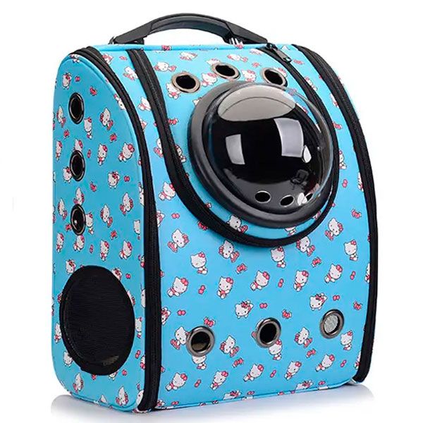 Рюкзак ілюмінатор шкіра 39х33х22 см Кицюня блакитний