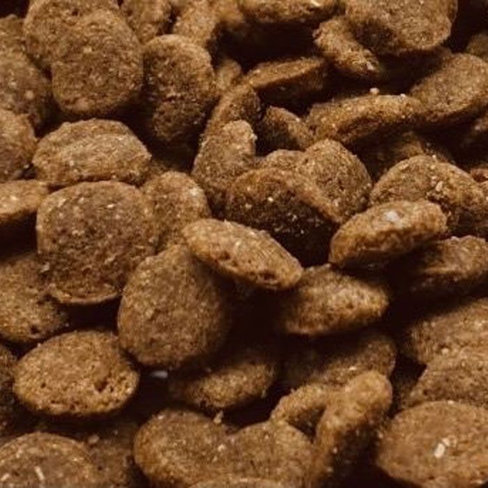 Fun Tasty корм для собак 7кг 