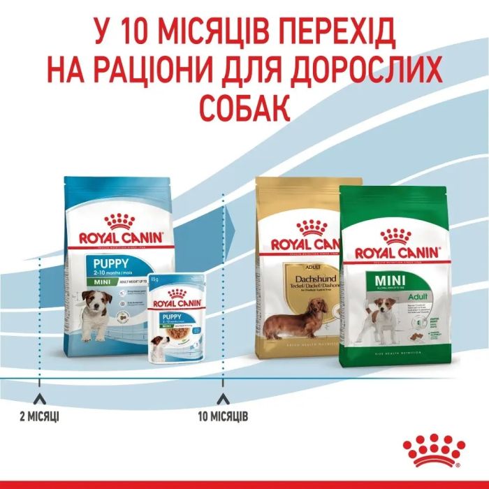 АКЦІЯ Royal Canin Mini Puppy набір корму для цуценят 2 кг + 4 паучі 