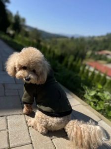 Худі Digi Dog для собак з кишенею, Хакі XL 40 см62 см. 