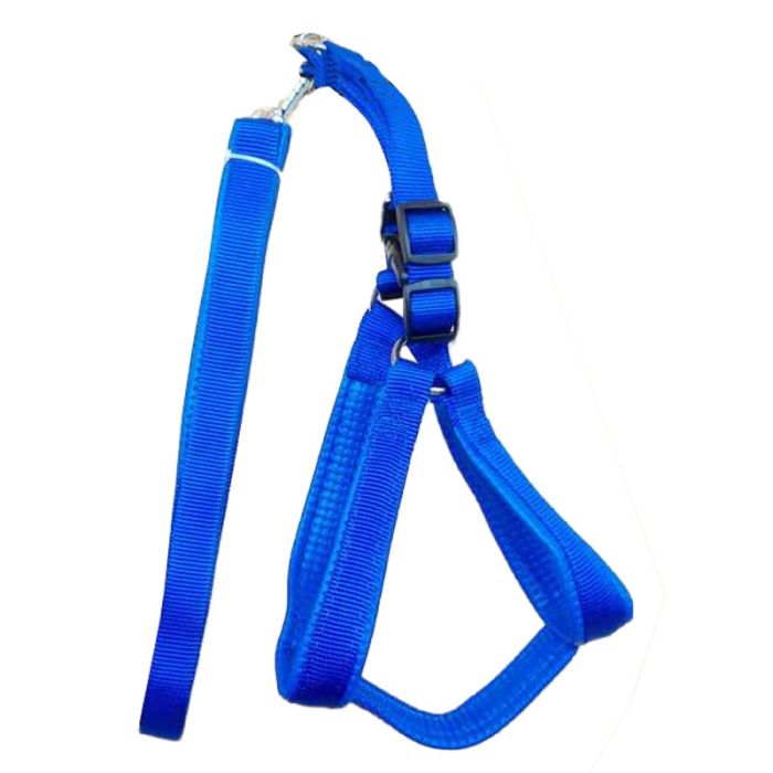 Шлея з повідцем для собак 2 см (40-50) 120см нейлон LH252-20 