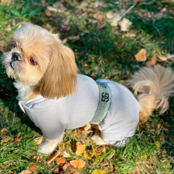 Комбінезон Гучик трикотаж на флісі (хлопчик) S1