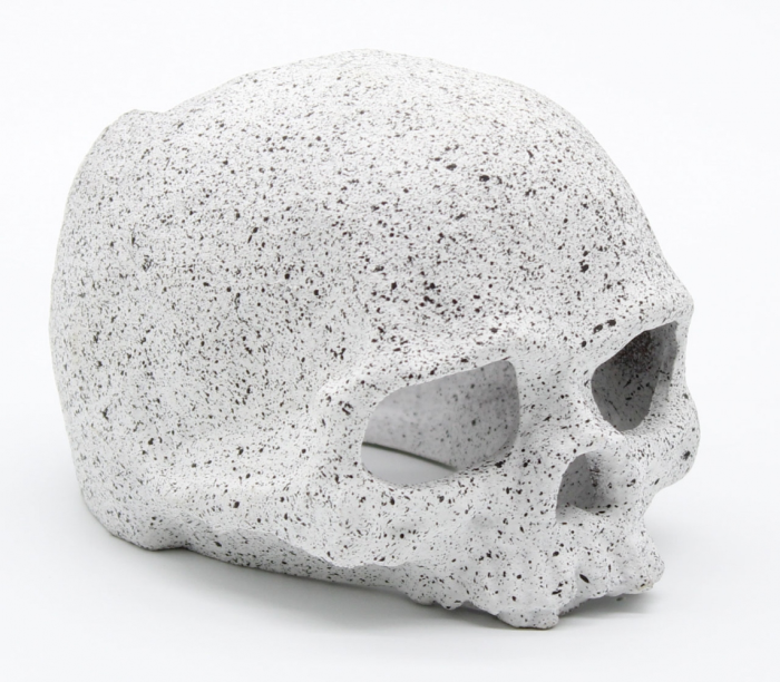 Череп 988 см (AS1501G) 