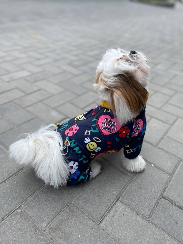 Ляля комбінезон на овчині без силікону для собак дівчаток S2 мопс