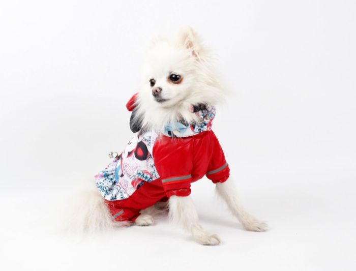 Комбінезон Мультяшка на силіконі (дівчинка) XS