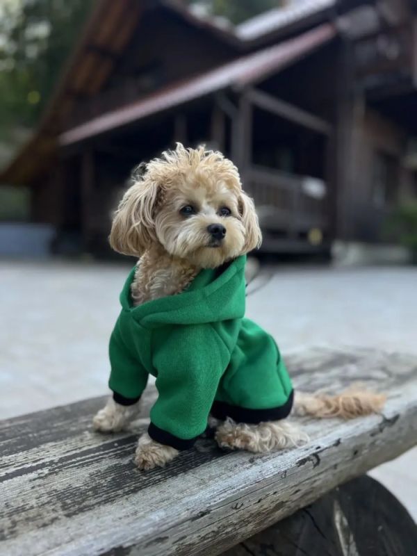 Худі Indigo Digi Dog для собак з кишенею Зелена толстовка. Xl. 40 см.62 см. 