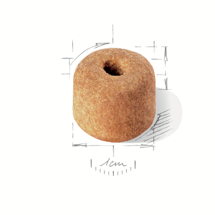 Royal Canin (Роял Канін) Labrador Retriever Adult сухий корм для лабрадорів 3 кг